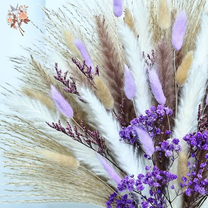 70 tiges séchées violet souffle de bébé queues de lapin herbe fleurs Bouquet décoratif chambre salon Vase remplissage Pampas décor à la maison