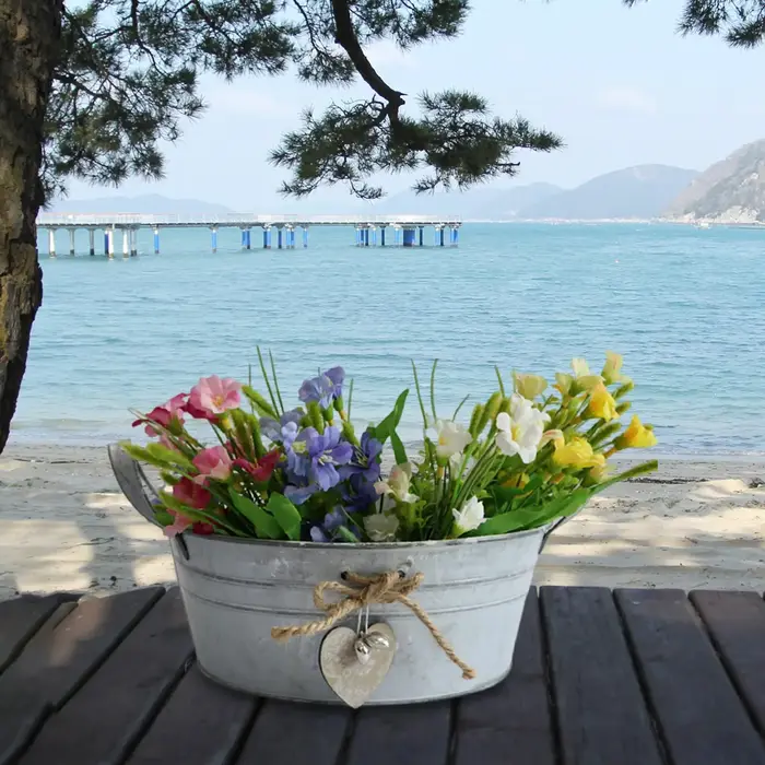 Pot de fleurs en fer SO, jardinière de plantes, vase de fleurs en métal, accessoires photo avec poig