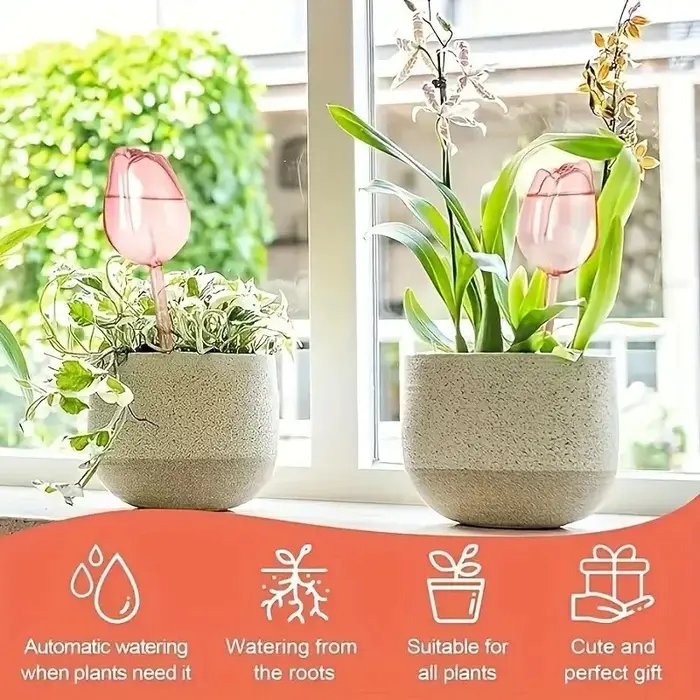 Boules d'arrosage pour plantes tulipes roses de jardin