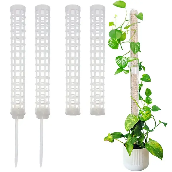 Colonne grimpante pour plantes
