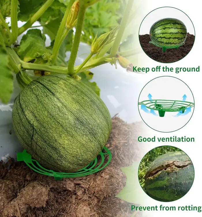 2/10 pièces Supports de plantes
