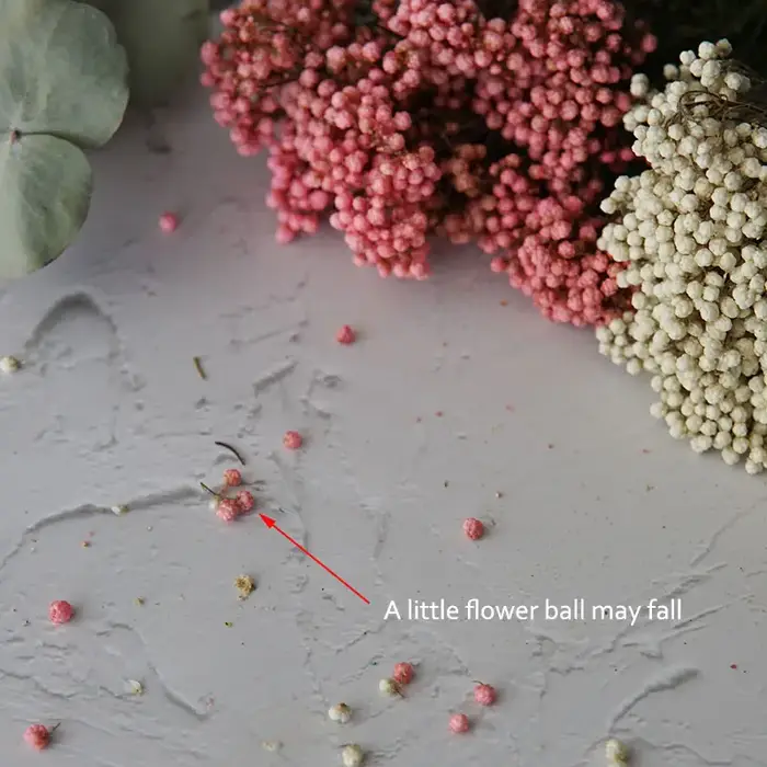 Fleur de Millet de riz