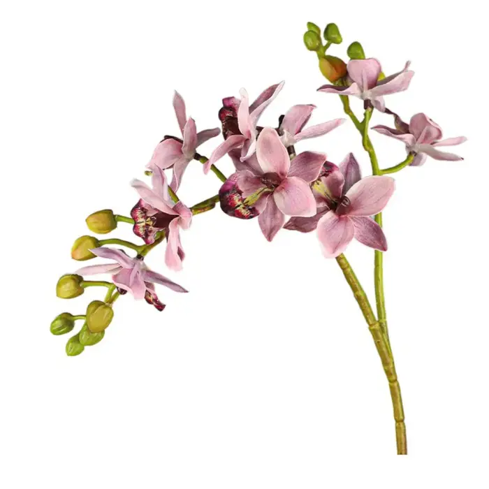 2 branches d'orchidées Phalaenopsis artificielles, réalistes, faites à la main, fleurs d'orchidées p