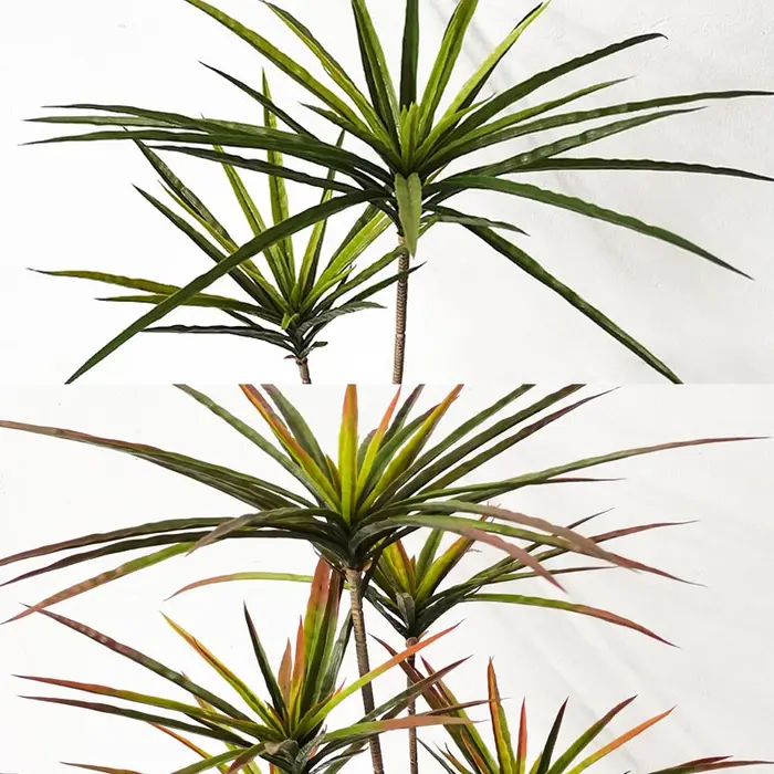 Grandes plantes de Dracaena artificielles tropicales en pot