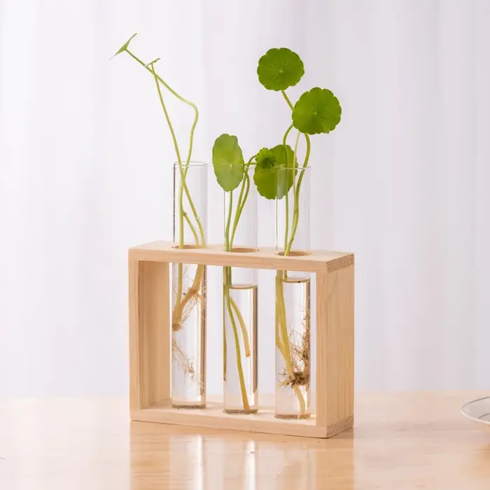 Conteneur de plantes hydroponiques avec cadre en bois