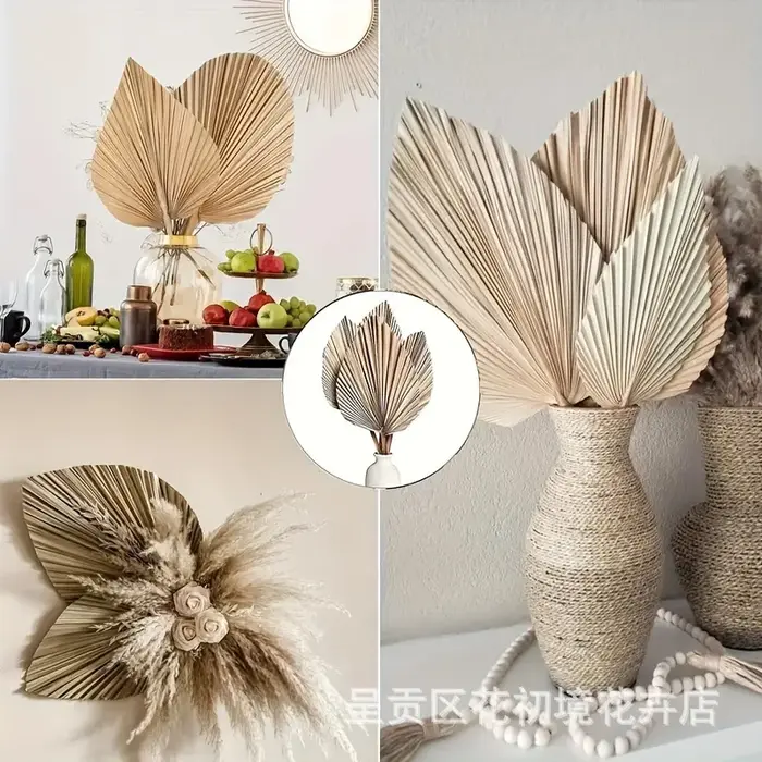 3 feuilles de palmier séchées naturelles