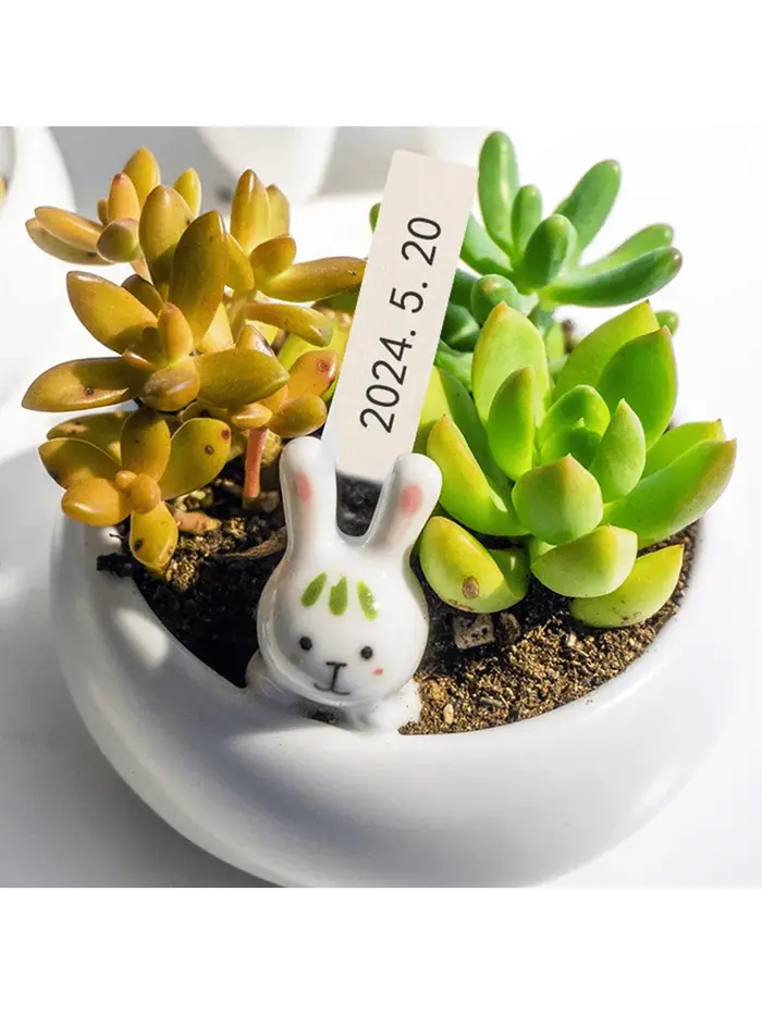 Étiquettes pour plantes de 4 pouces