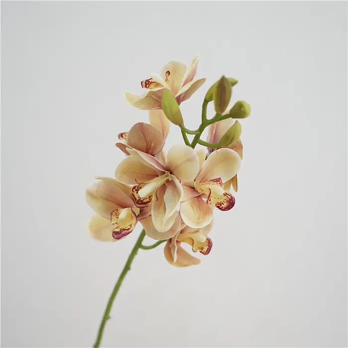 Cymbidium en Latex au Toucher Réel
