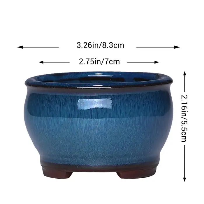 Pot de fleur succulente en céramique