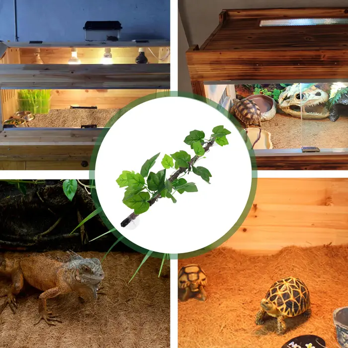 Branches de Reptiles, vignes de Jungle