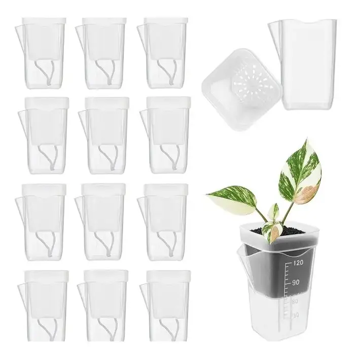 5 pots de plantes auto-arrosants