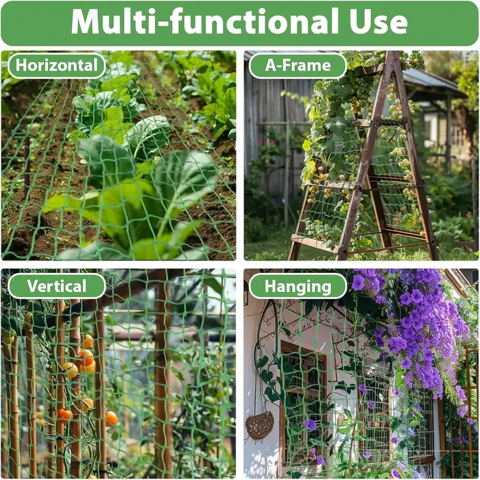 Pergola à treillis pour plantes de 1