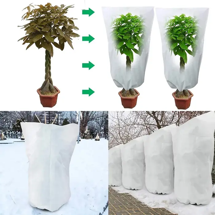 Antigel plante d'hiver couverture chaude