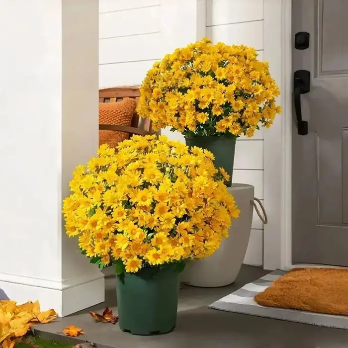 Bouquet de marguerites artificielles dégradées haute fidélité