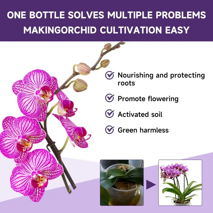 Engrais liquide spécial pour fleurs d'orchidées