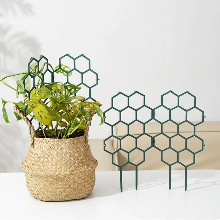 Support pour plantes grimpantes