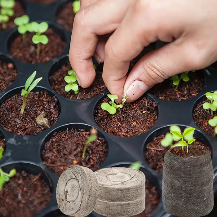 Substrat pour plantes, 100 pièces
