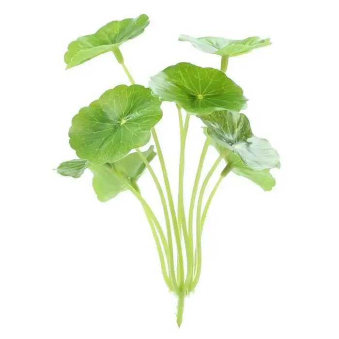 Plantes Artificielles de Simulation de Petit Cuir oral elu Annie, Argent, Faux Cuir oral elu, Décor de Vase Hydroponique, Poisson Précieux, DIY