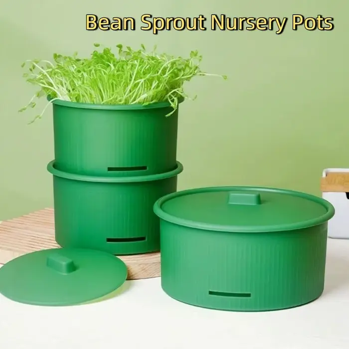 Pots de pépinière en plastique pour germes de haricots