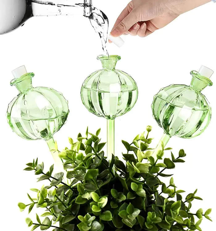 Ampoules d'arrosage automatique en verre pour plantes