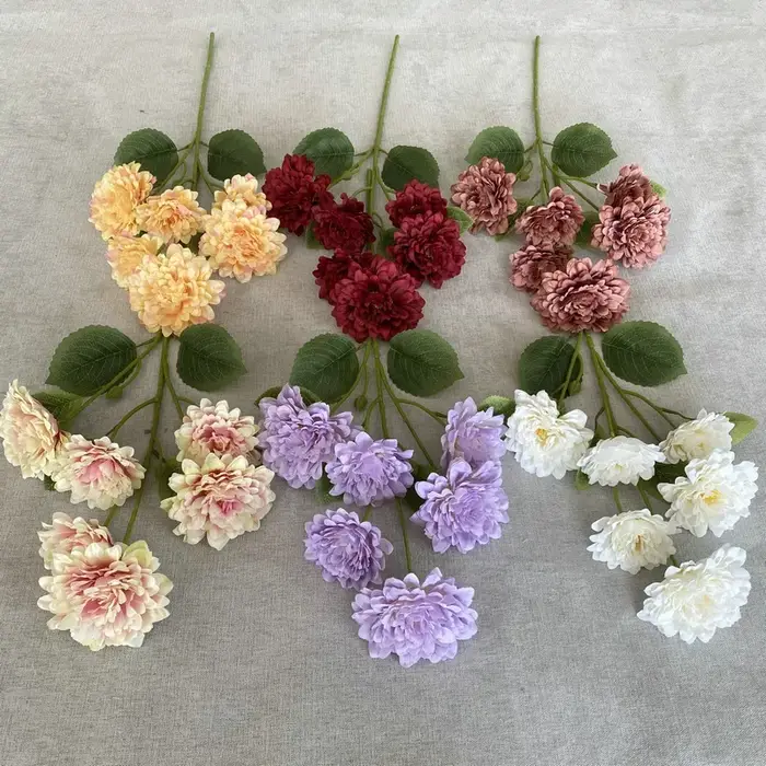 Simulation de branche de Cinerarias à 6 têtes