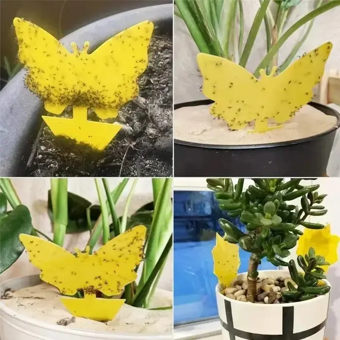 36 pièces/ensemble de pièges à insectes jaunes