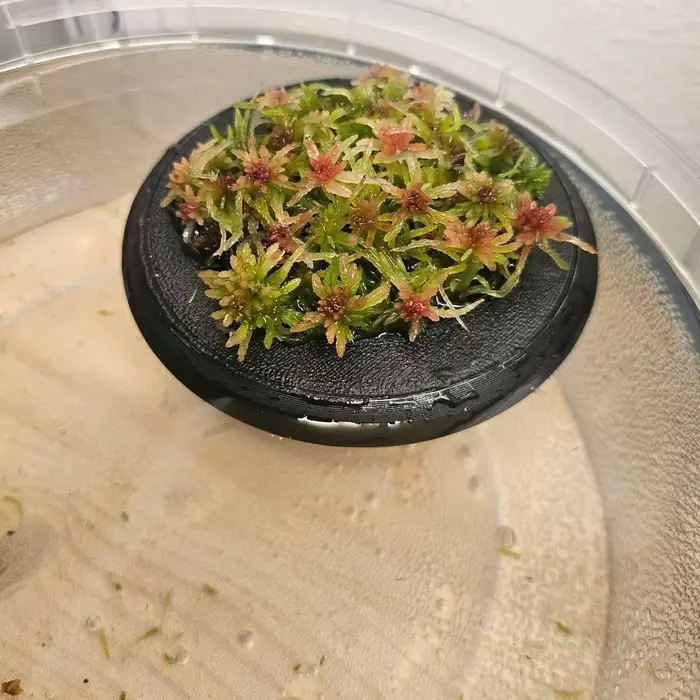 Pot de fleurs flottant décoratif en PLA avec trous