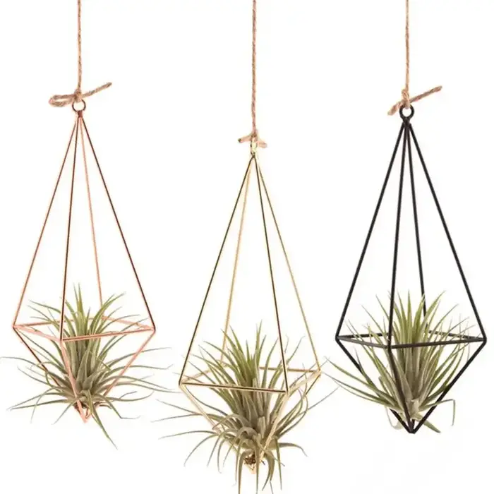 Cintre mural moderne en macramé pour fleurs