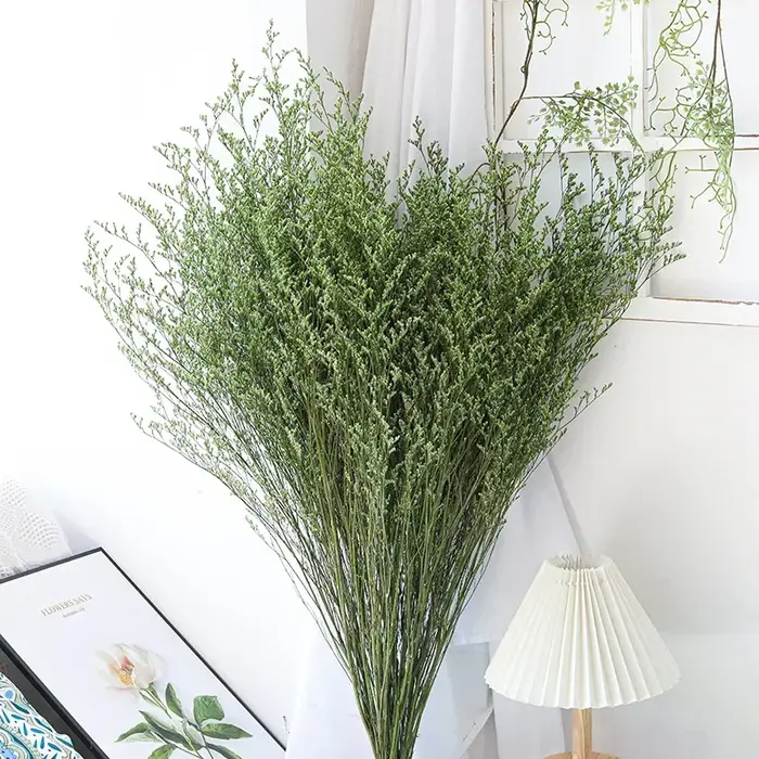 Bouquet de limonium naturel conservé