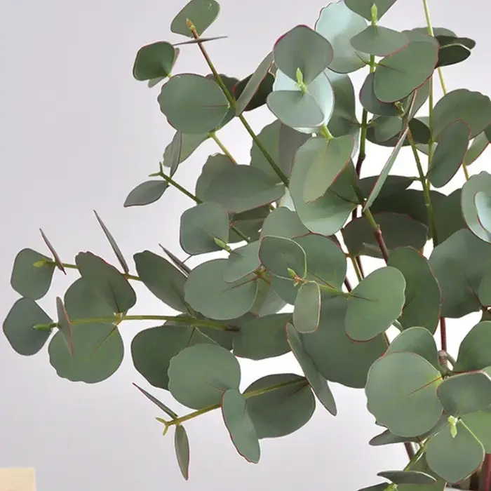 Feuilles d'eucalyptus artificielles pour la décoration de la maison