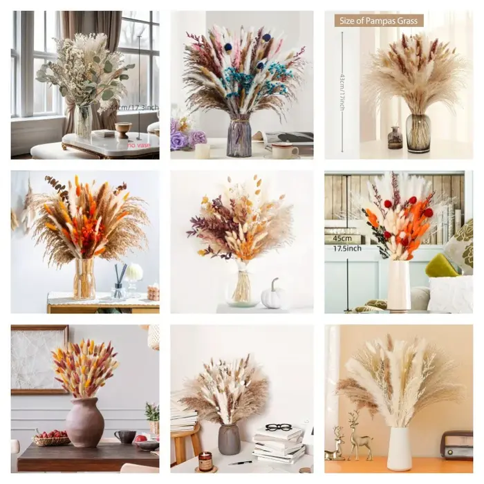 Bouquet de fleurs de Pampas séchées naturelles