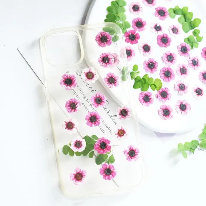 1-2cm/12pcs, Têtes de fleurs de Manuka rouges pressées