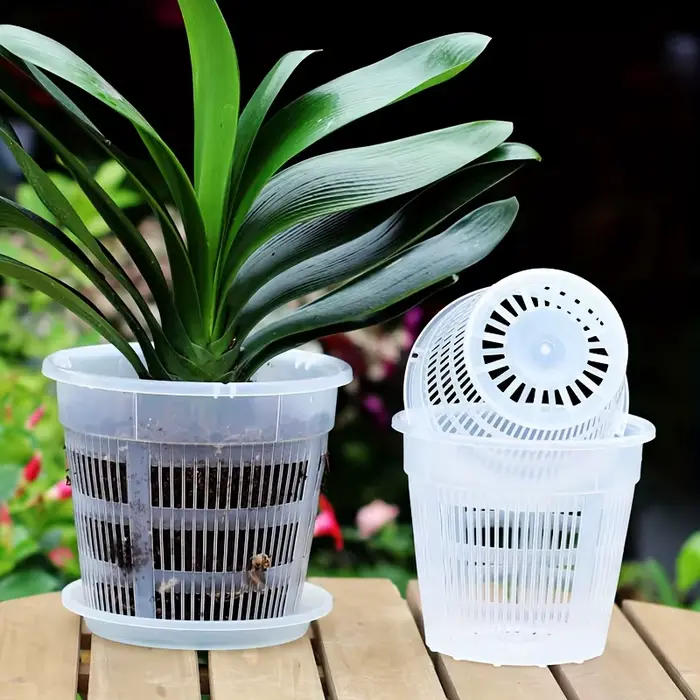 Lot de 6 pots à orchidées transparents avec trous de drainage