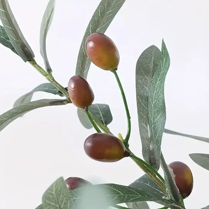 Olive plante simulée, mariage