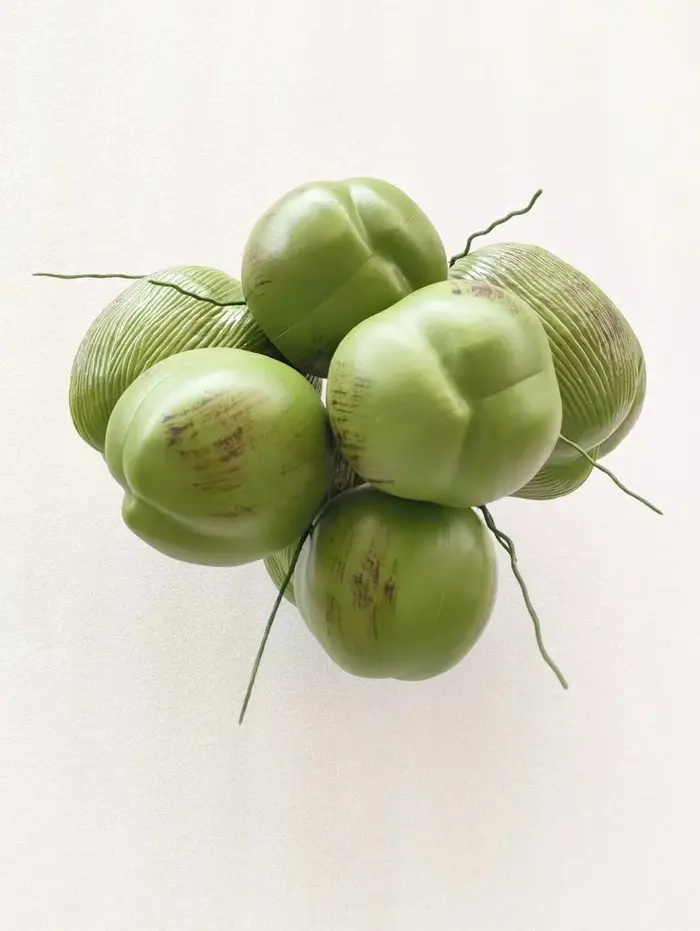 Simulation de fruits de cocotier
