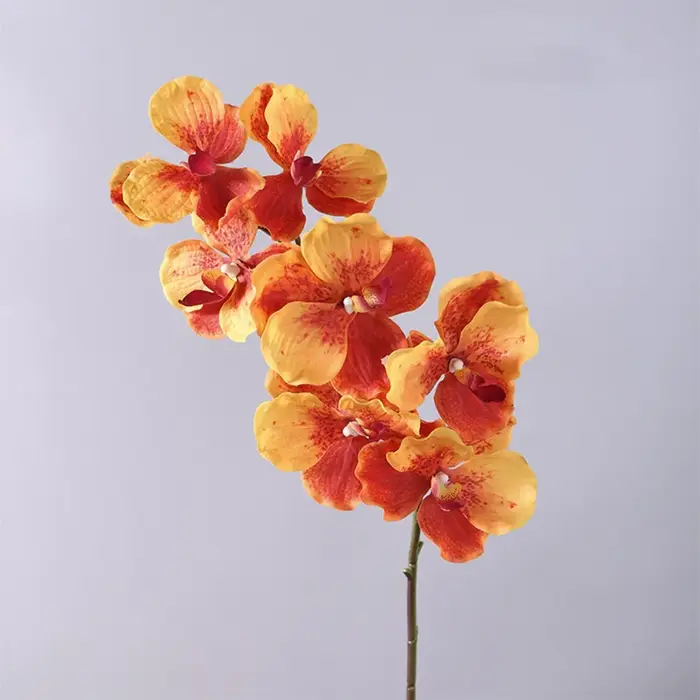 Orchidée Vanda Artificielle de 80 CM en Plastique, Effet Hydratant, Toucher Réel, Arrangements Flora