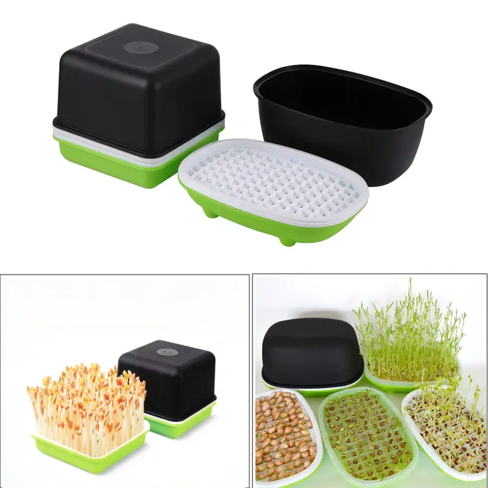 Boîte hydroponique pour germer des cacahuètes