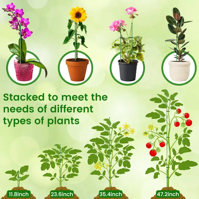 Piquets de Support pour plantes