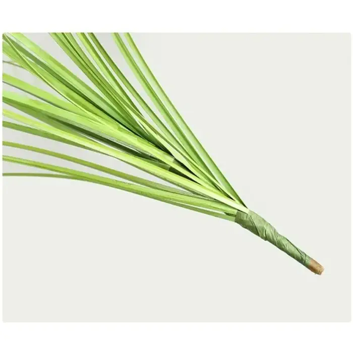 Simulation d'herbe à oignon