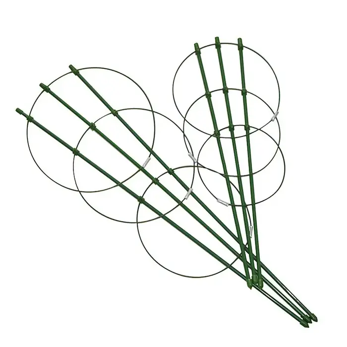 Support de plantes grimpantes