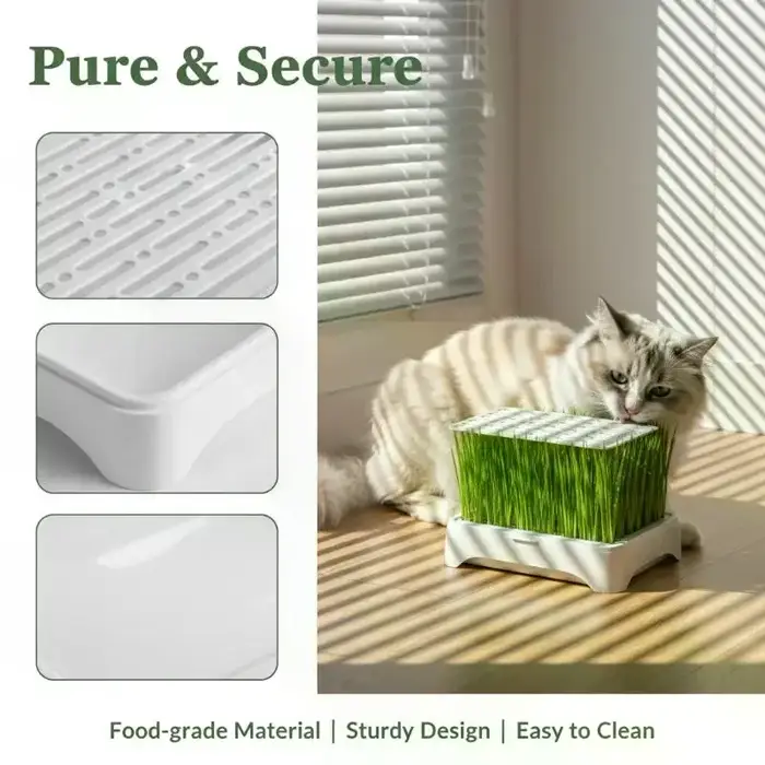 Bac de culture hydroponique pour herbe à chat, pot de semis de blé sans terre, dispositif hydroponique pour herbe pour chatons, pot de culture horticole
