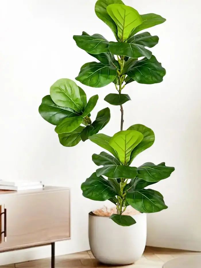 Ficus lyrata artificiel de 45-135 cm