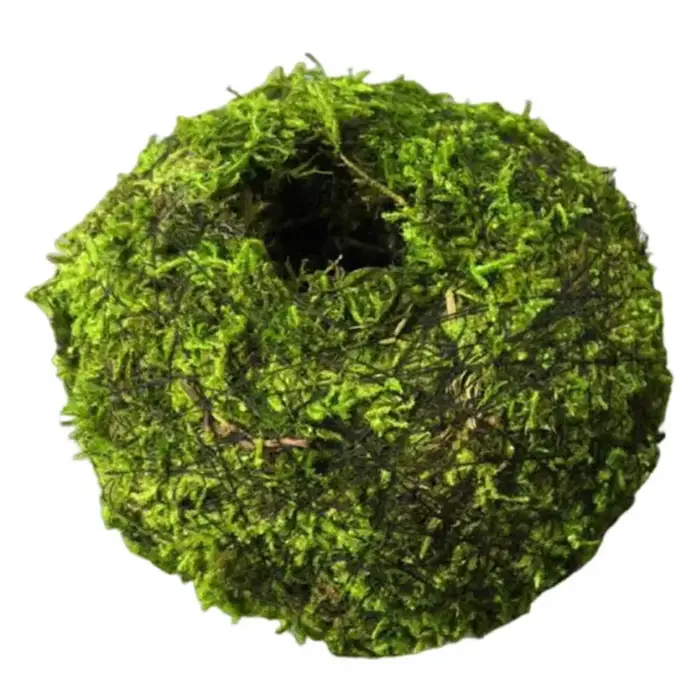 Pot de fleurs en boule de mousse, support décoratif naturel vert pour bonsaï, idéal pour la maison, 