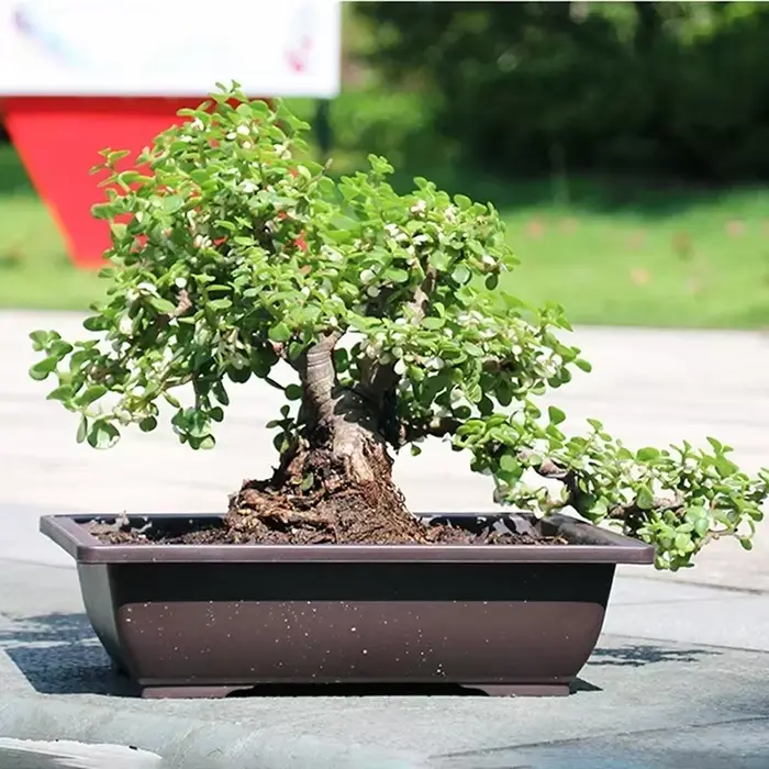 Pot de fleur carré en plastique pour balcon