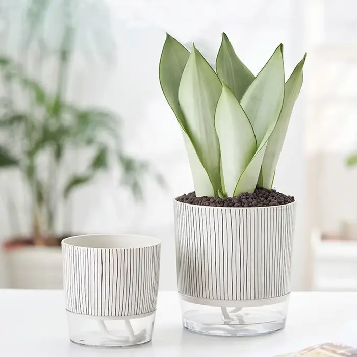 Pot de plantes transparent auto-arrosant, plantes vertes, décoration de bonsaï pour la maison, pot à
