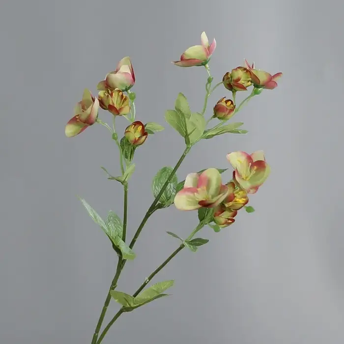 Fleur artificielle en soie réaliste 55 cm Accessoires photo Branches de hélène Roses d'hiver en soie Décoration intérieure