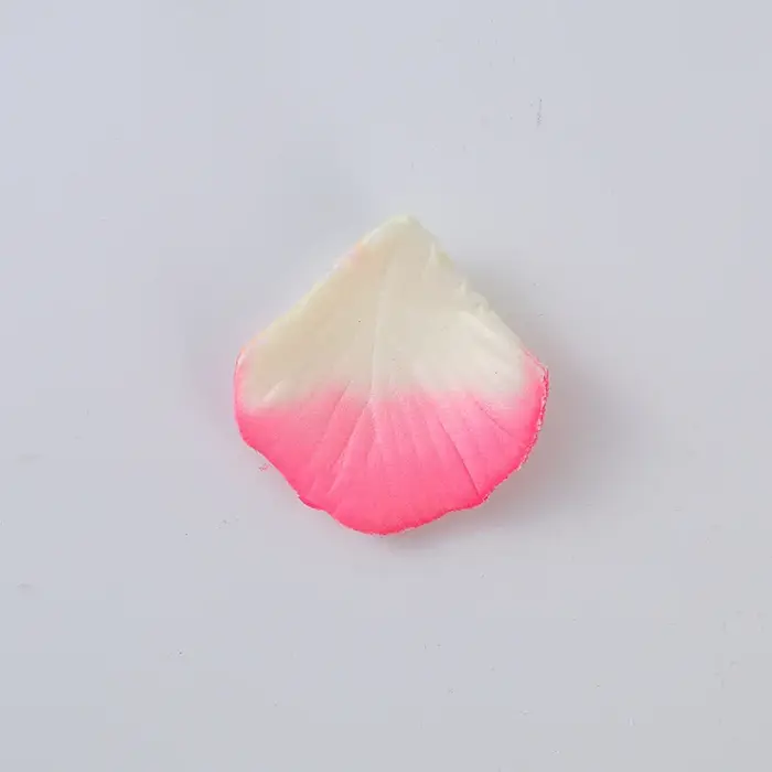 2000 pièces de pétales de Roses en soie