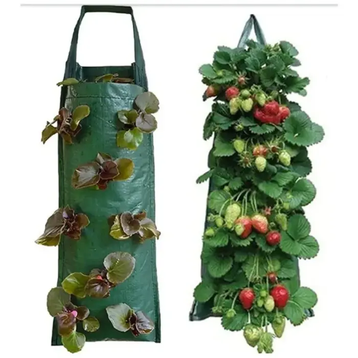 Nouveau sac de culture suspendu à 6 trous pour fraises