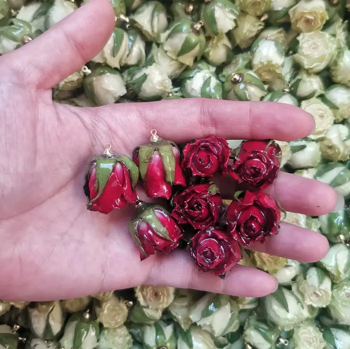 Aqumotic fleurs séchées pour pendentif en résine vraies petites Roses pour l'artisanat pour la fabrication de bijoux décodène crème 10 pièces décorations