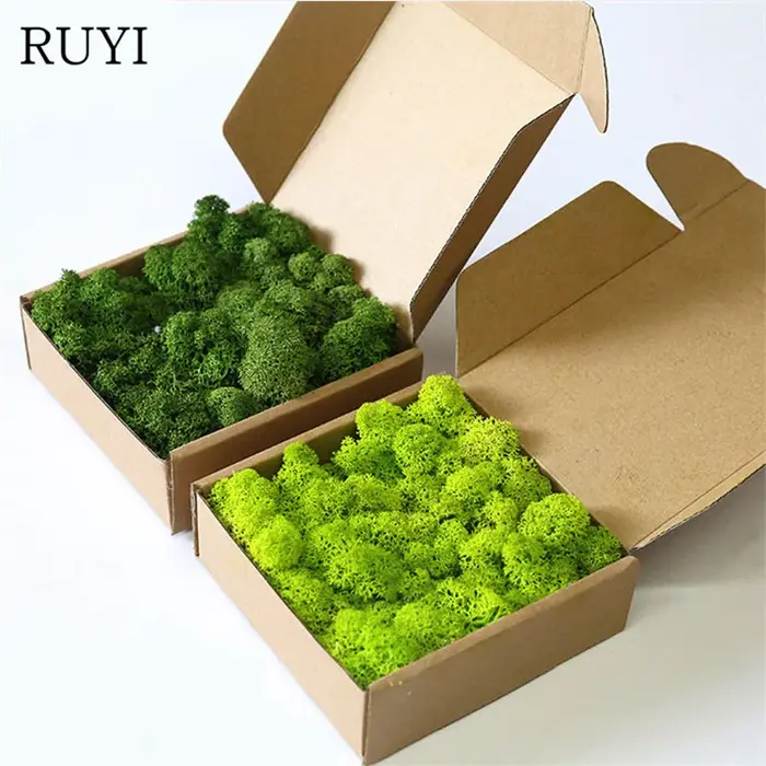 Mousse de plantes artificielles pour la décoration murale de la maison